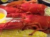 lobster11