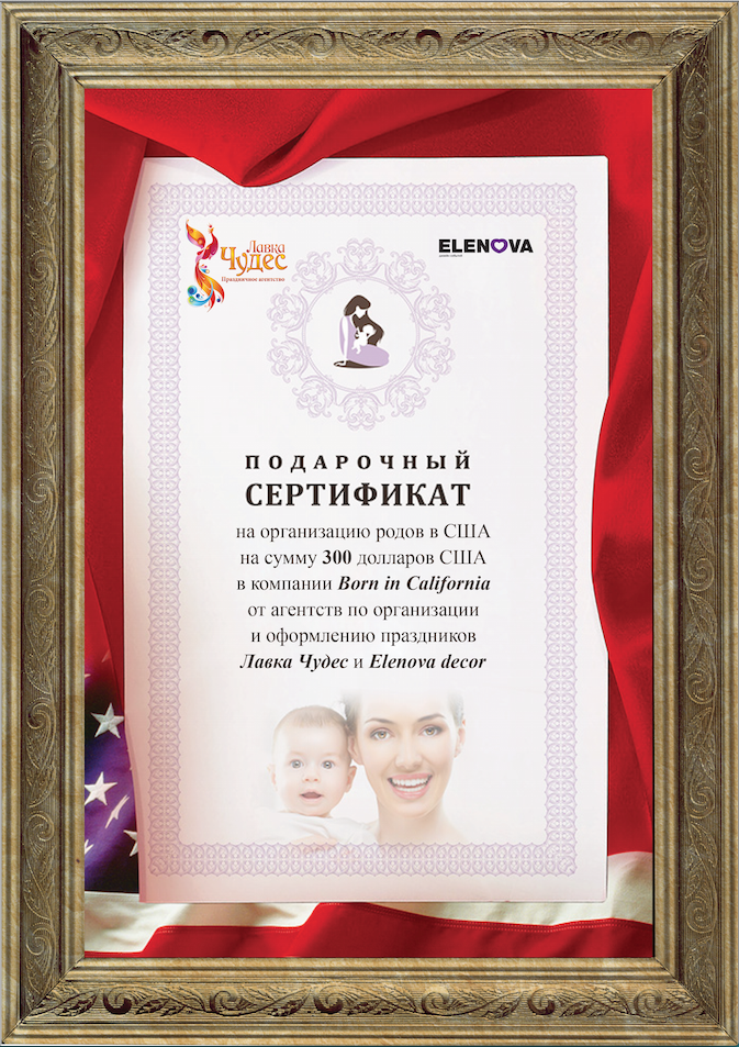 certificat-elenova-300